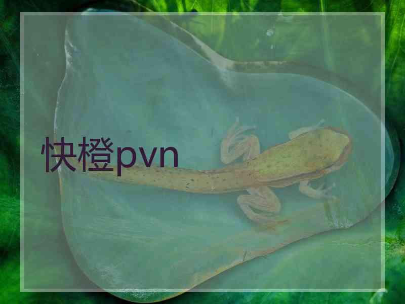 快橙pvn