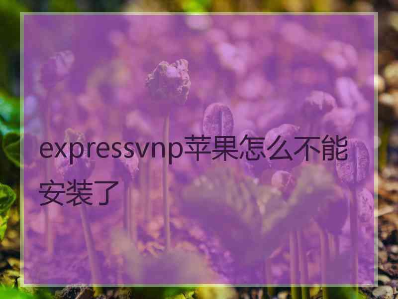 expressvnp苹果怎么不能安装了