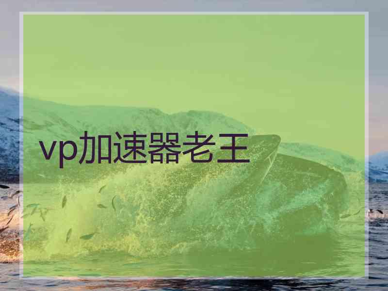 vp加速器老王