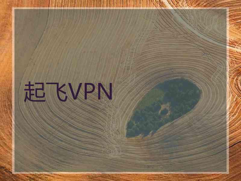 起飞VPN