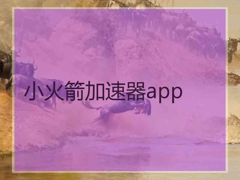 小火箭加速器app