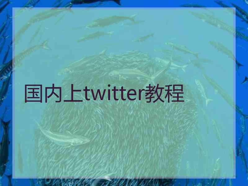 国内上twitter教程