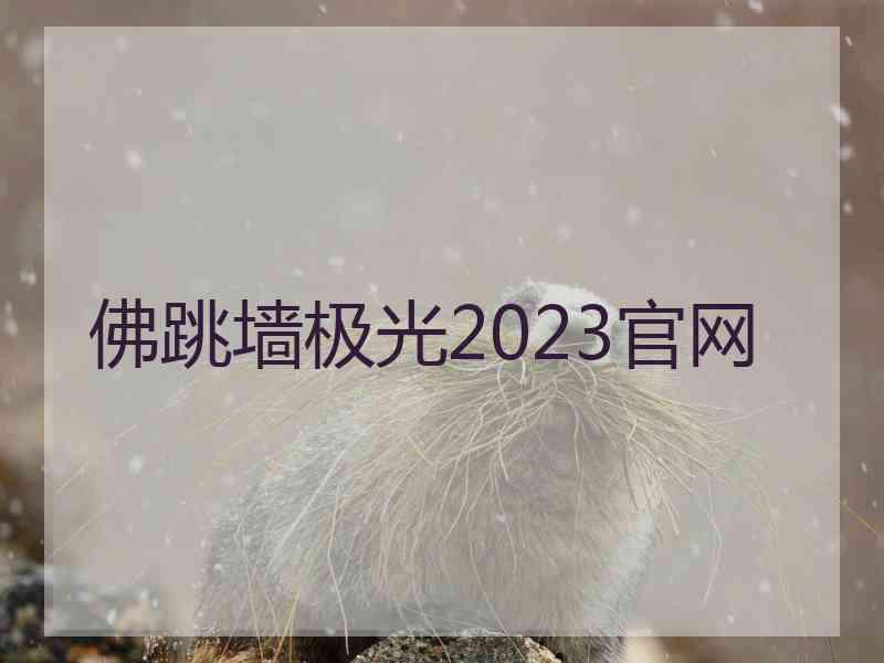 佛跳墙极光2023官网