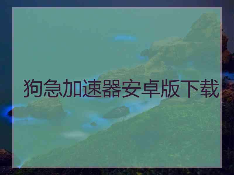 狗急加速器安卓版下载