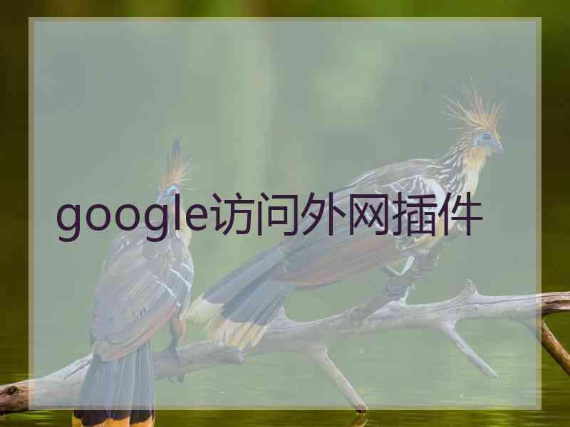 google访问外网插件