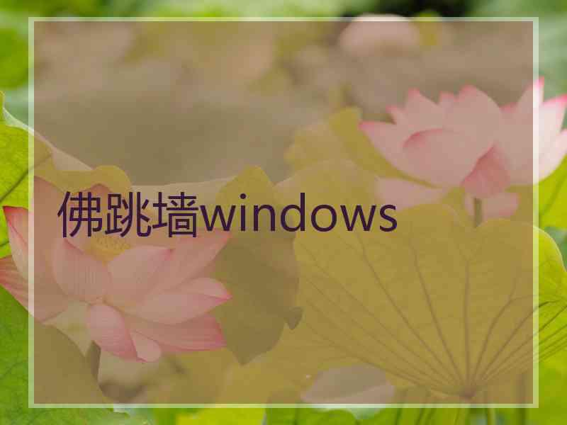 佛跳墙windows