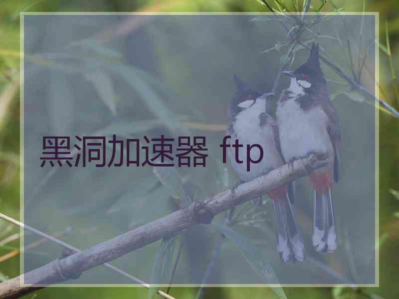 黑洞加速器 ftp