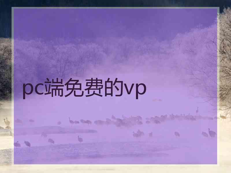 pc端免费的vp