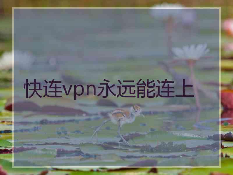 快连vpn永远能连上