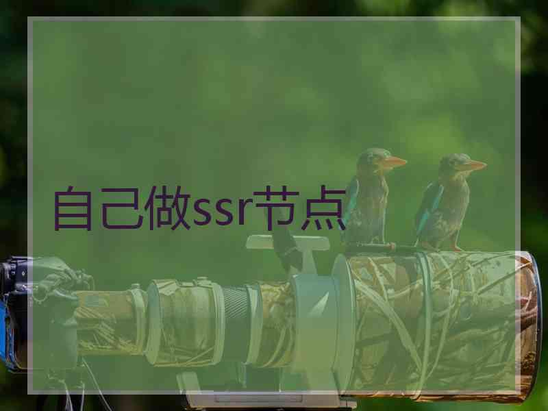 自己做ssr节点