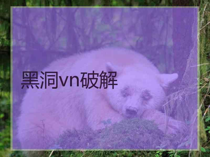 黑洞vn破解