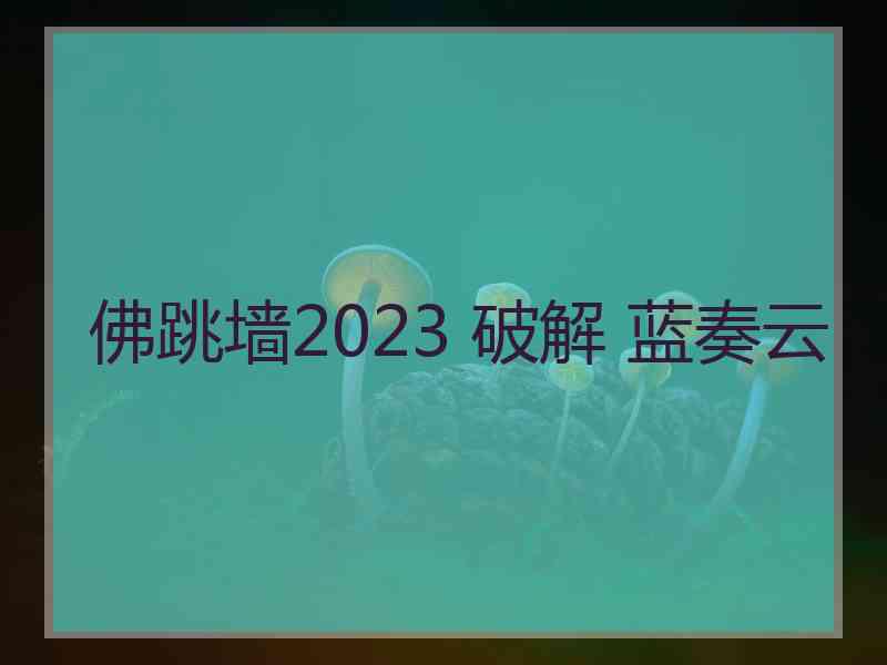 佛跳墙2023 破解 蓝奏云