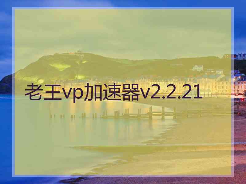 老王vp加速器v2.2.21